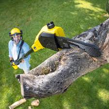 Lawn Irrigation Installation and Maintenance in Pleasanton, TX